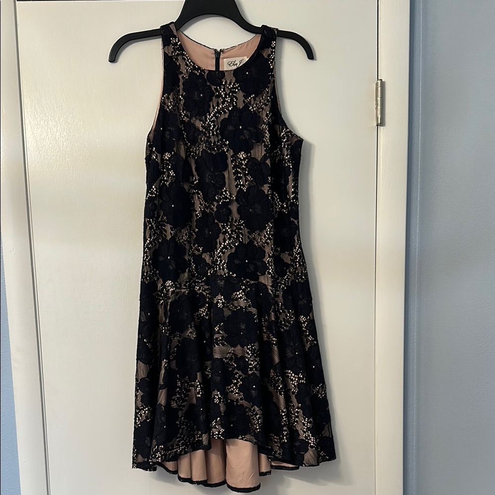Eliza J Navy Lace Dress